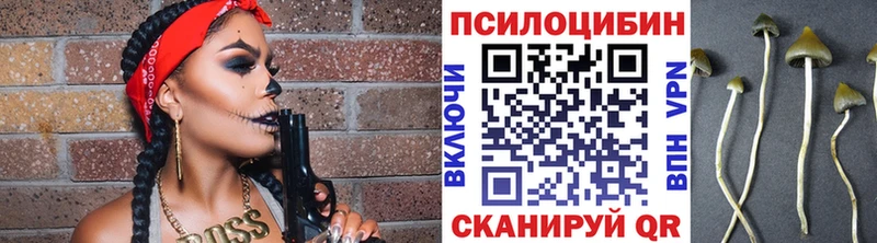 Псилоцибиновые грибы мухоморы  закладки  Нытва 
